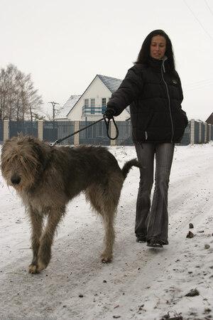 Original 1024 px/ 1536 px