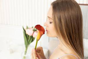 Original 6000 px/ 4000 px