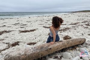 Original 3000 px/ 2000 px