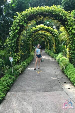 Original 2000 px/ 3000 px