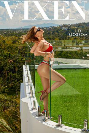 Lily Blossom - Petite Model Loves Seducing Married Men [Vixen.com] (2023-07-14)