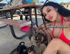 Original 1242 px/ 954 px