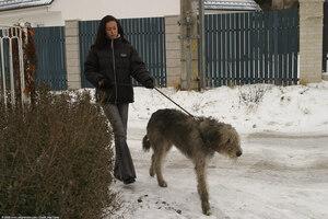 Original 1536 px/ 1024 px