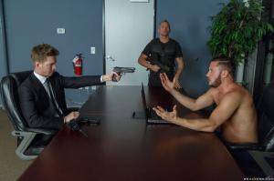 Original 2495 px/ 1663 px