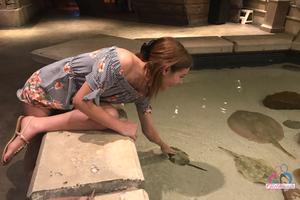 Original 3000 px/ 2000 px