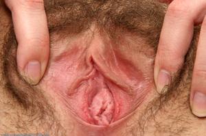 Original 1024 px/ 680 px