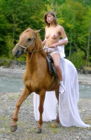 Original 1312 px/ 2000 px