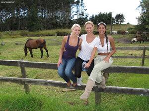 Original 2400 px/ 1800 px