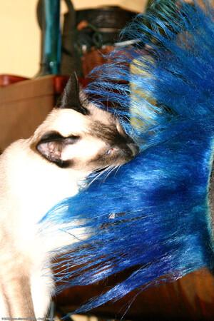 Original 1024 px/ 1536 px