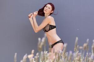 Original 1280 px/ 854 px