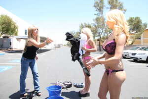 Original 2495 px/ 1663 px