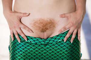 Original 2495 px/ 1663 px