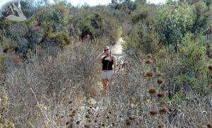 Original 800 px/ 483 px