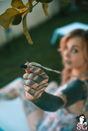 Original 4016 px/ 6016 px