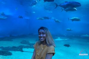 Original 3000 px/ 2000 px