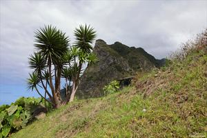 Original 4000 px/ 2667 px