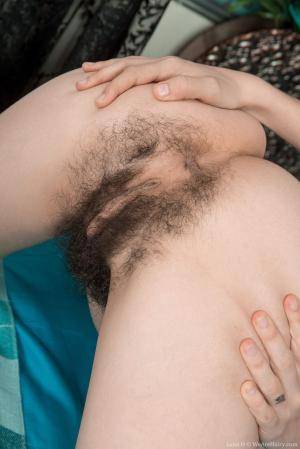 Original 854 px/ 1280 px