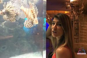 Original 3000 px/ 2000 px