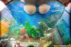 Original 900 px/ 600 px