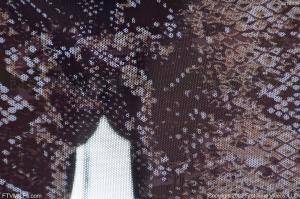 Original 1280 px/ 852 px