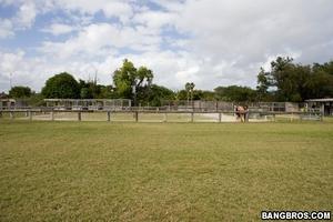 Original 800 px/ 533 px