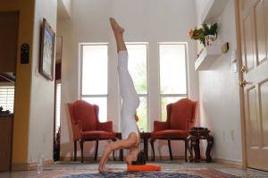 Original 2500 px/ 1660 px