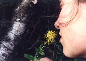 Original 1020 px/ 724 px