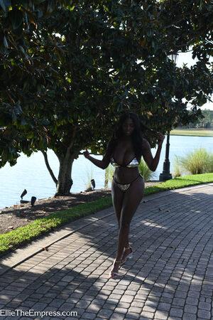 Original 1365 px/ 2048 px