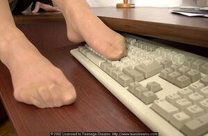 Original 800 px/ 525 px