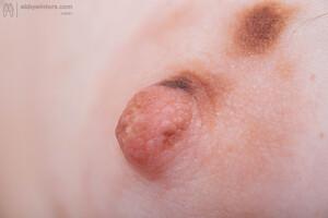 Original 5760 px/ 3840 px