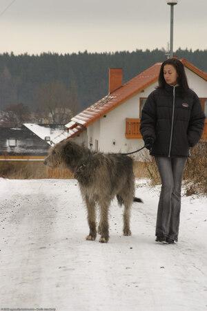 Original 1024 px/ 1536 px