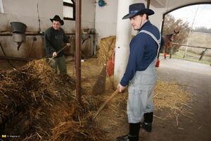 Original 1680 px/ 1120 px