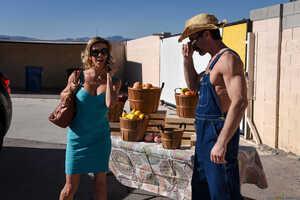 Original 2491 px/ 1663 px