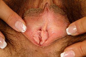 Original 1280 px/ 860 px