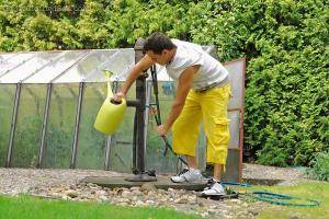 Original 1024 px/ 683 px