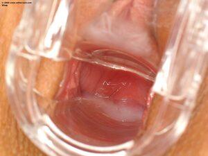 Original 1600 px/ 1200 px