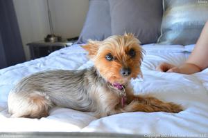 Original 4928 px/ 3280 px