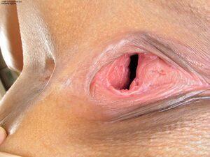 Original 2400 px/ 1800 px