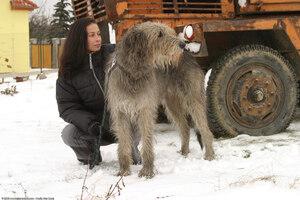 Original 1536 px/ 1024 px