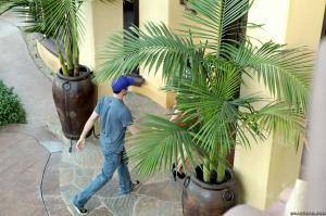 Original 2495 px/ 1663 px