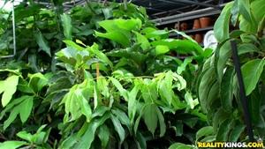 Original 3840 px/ 2160 px