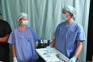 Original 2500 px/ 1667 px