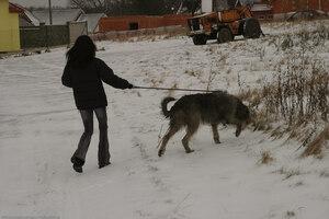 Original 1536 px/ 1024 px