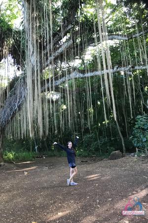 Original 2000 px/ 3000 px