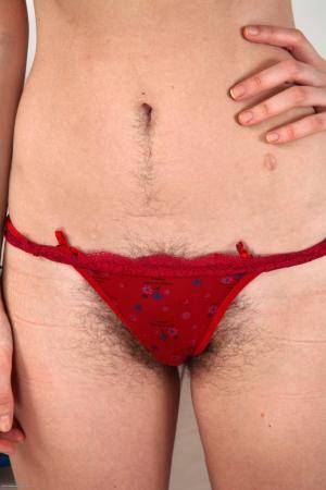 Original 682 px/ 1024 px