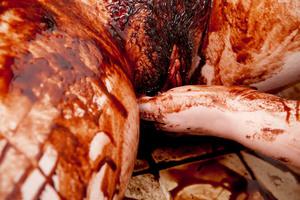 Original 3888 px/ 2592 px