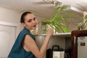 Original 1536 px/ 1020 px