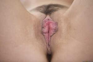 Original 2495 px/ 1663 px