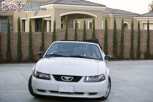 Original 917 px/ 611 px