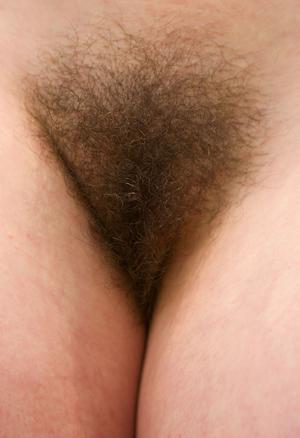 Original 1095 px/ 1600 px